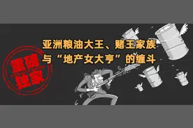 “大船项目”烂尾七年：粮油大王、赌王家族与神秘“女大亨”缠斗图片