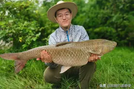 30分钟让你认识一种全新钓法，从此大鱼不是梦图片