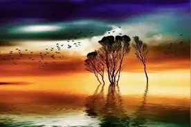 往前走，别回头。图片