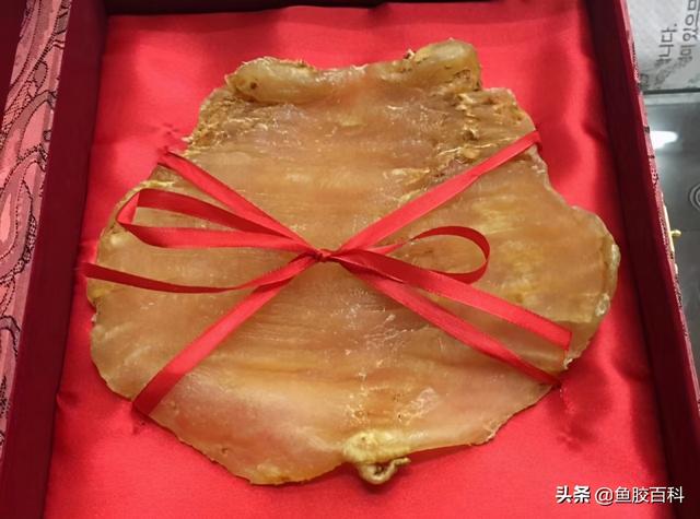 什么是花胶燕窝 什么是花胶燕窝呢