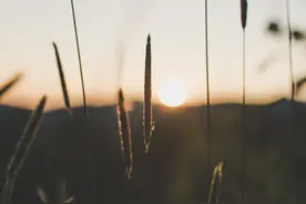 「试写2021全国乙卷高考作文」修身矫思存大义，身体力行逐理想图片