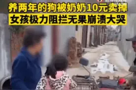 “奶奶，我养的狗被卖了”：毁掉一个孩子，只需10元图片