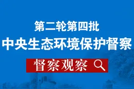 一月观察，全面梳理，深度分析，中国黄金环境问题的根源在哪？图片