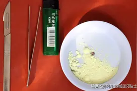 翻盆下侧芽，多肉高手的园艺教学贴图片