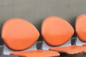 主人上班时不幸去世，狗狗在车站等待，1年后女孩上车时它也跟着图片