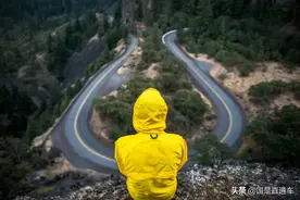 37小时＋14天，留德学子的漫长回家路图片