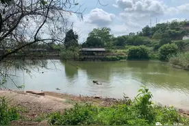 广西这个曾受人追捧的乡村旅游区如今无人问津？图片