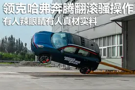 领克哈弗奔腾翻滚骚操作，有人辣眼睛有人真材实料图片