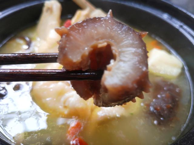 花胶海参炖鸡作用 2026年花胶海参炖鸡作用是什么