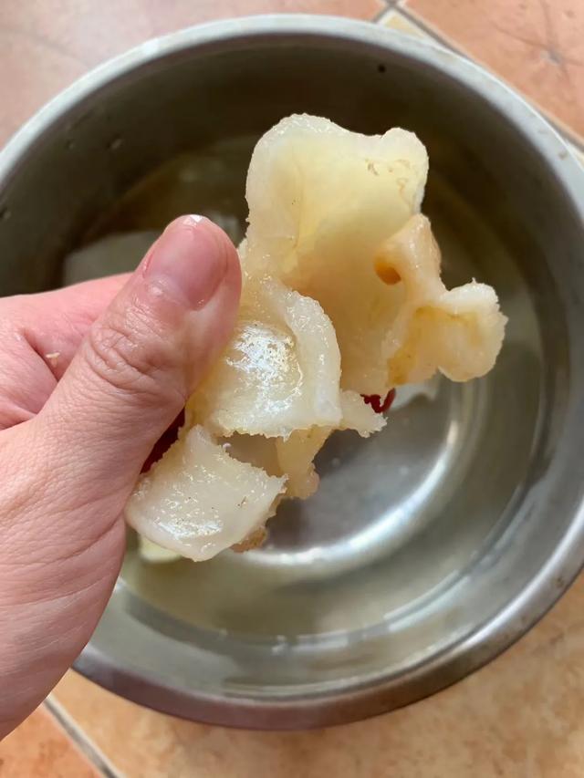 如何泡发蝴蝶花胶 2026年如何泡发蝴蝶花胶窍门 如何泡发蝴蝶花胶 2026年如何泡发蝴蝶花胶窍门