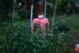 海南省定安县白事习俗的来历图片