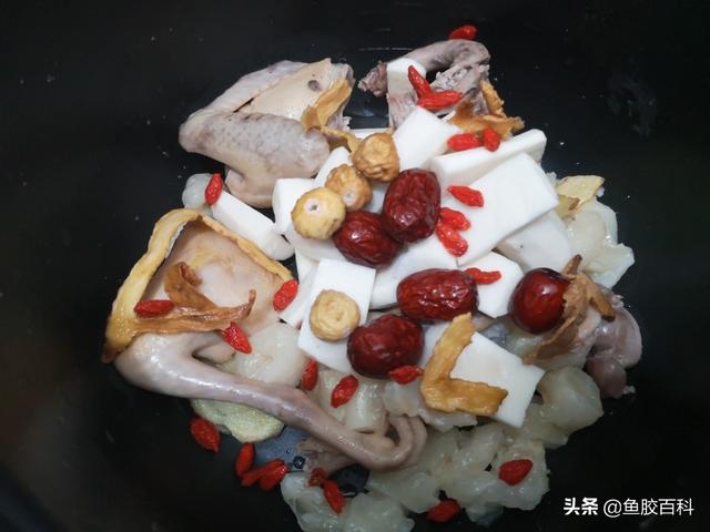 花胶仔的做法大全 2026年花胶几种做法