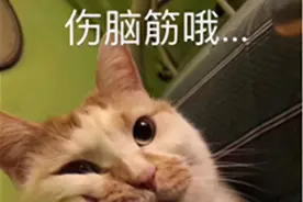爱车长期停放，进入“吃灰模式”前有哪些需要注意的点？图片