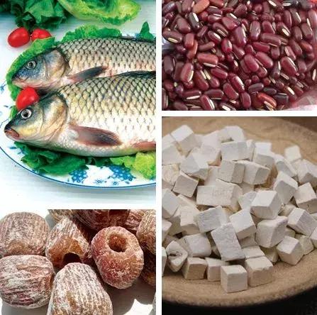 佘自強 花胶汤 2026年佘自强的汤可信吗