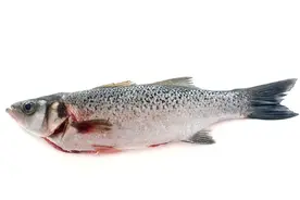 牛蛙全线大跌，2天亏15万！生鱼、加州鲈跟跌，鱼料大涨，该咋办图片