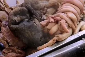 山东大集上羊杂摊，羊血2元一斤羊头18元一斤，老板娘酷似刘嘉玲图片