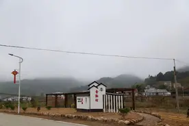 连两只猫也被毒死，毒翻一家三口的毒蘑菇，究竟是什么品种？图片