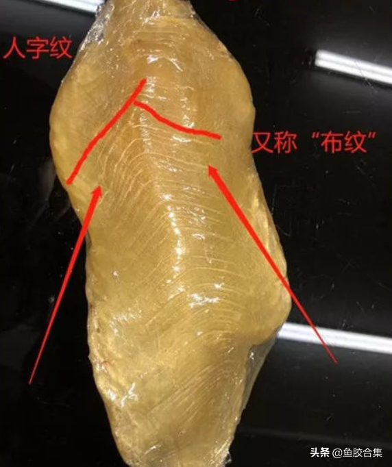 白色的胶是什么花胶 2026年白色的胶是什么花胶图片