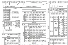 高中生物所有知识点思维导图汇总，必备图片