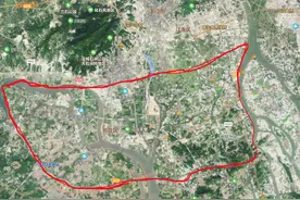 想去“新会”摘陈皮柑吗？先看看这些新会陈皮“知识点”再出发图片