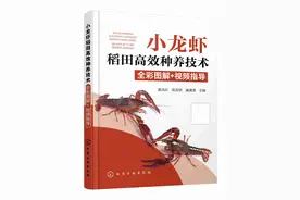 小龙虾稻田养殖冬季青苔防治技术要点图片
