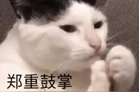 今年，河北56万考生被高校录取，你是不是又双叒叕开始怀念大学时光了图片