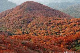巴中9人、广元20人、绵阳8人通过清华北大“高校专项计划”审核图片