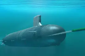 鲸鱼能潜上千米，为啥钢铁造的潜艇却不行？构造原因了解一下图片