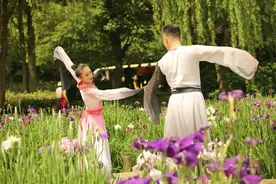 哇噻！花菖蒲开了，太湖鼋头渚正以最美的姿态迎接夏天的到来图片