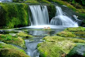 趣解汉字“活”图片