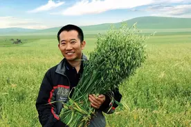 “中国天然燕麦第一人”蒙北燕麦李刚岭：为健康中国，十年匠心砥砺前行图片