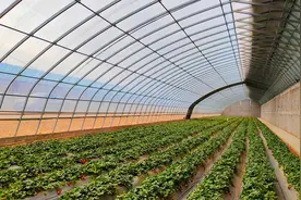 省政府副秘书长、天津援甘前方指挥部总指挥袁新河在古浪县调研天津援甘工作图片