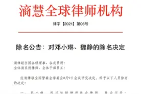 除名公告：对邓⼩琳、魏静的除名决定图片