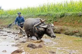 传统农具，你能认出几件，又有用过几件？图片