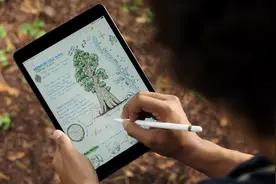 不给安卓平板活路？iPad 8正式发布图片