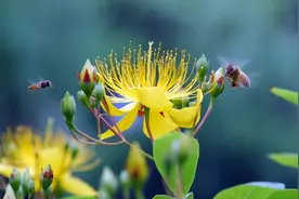 当女人不再爱的时候，你做得再多，都是无用功图片