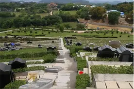 北大教授建议恢复土葬，火葬费钱更费地，殡葬业或变风向图片