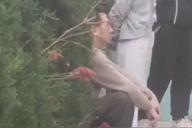 千惠真面目被扒，因营销林生斌被公司表扬，为带货狠心吃人血馒头图片