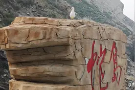 《鹿鼎记》神龙岛原型，岛上的蛇一年只吃两顿，被称为生命奇迹图片