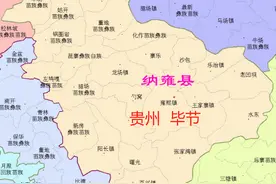 毕节织金县26镇、纳雍县25镇的变迁：人口、土地、工业…基本统计图片