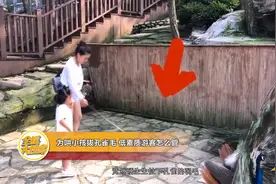 为哄小孩拔孔雀毛 低素质游客怎么管图片