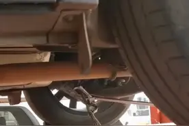 云南一条金黑相间的蛇藏在车底，疑准备冬眠，被找到时蛇还在睡觉图片