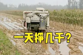 履带玉米收割机“爆火”，一天挣几千，但也有缺点，不要盲目购买图片