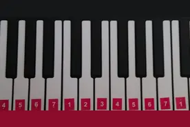 大学生想要自学唱歌（声乐），如何开始？这篇文章带你入门图片