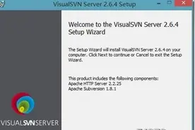 Windows下VisualSVN Server的安装与配置方法(图文)图片