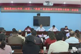 村支书、村主任的报酬待遇提高……柳城县为村（社区）“两委”换届工作做了这些准备图片