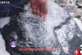 李子柒视频被剽窃，外国人还以为她是越南人……图片
