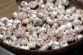 吃不完的大蒜，学会保存技巧，放一年还新鲜，不长芽也不干瘪图片