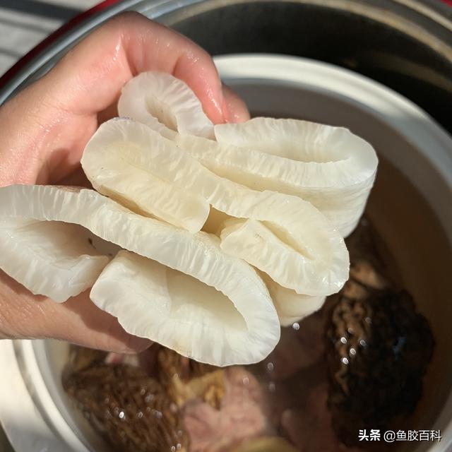 出了月子可以吃花胶吗 2026年出了月子可以吃花胶吗母乳喂养