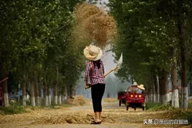 我的妻子是一个纯粹的农村妇女，她的高贵和优雅，来自哪里呢？图片